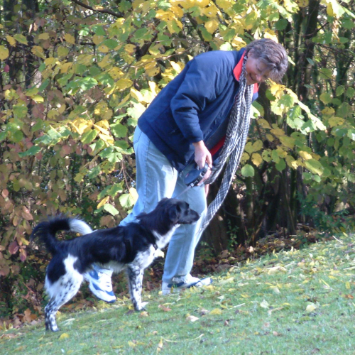 Bärbel beugt sich zu ihrem Hund herab, im Hintergrund ein Baum mit gelben Blättern.
